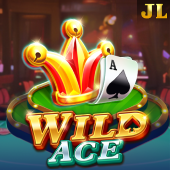 Wild Ace game cover artwork